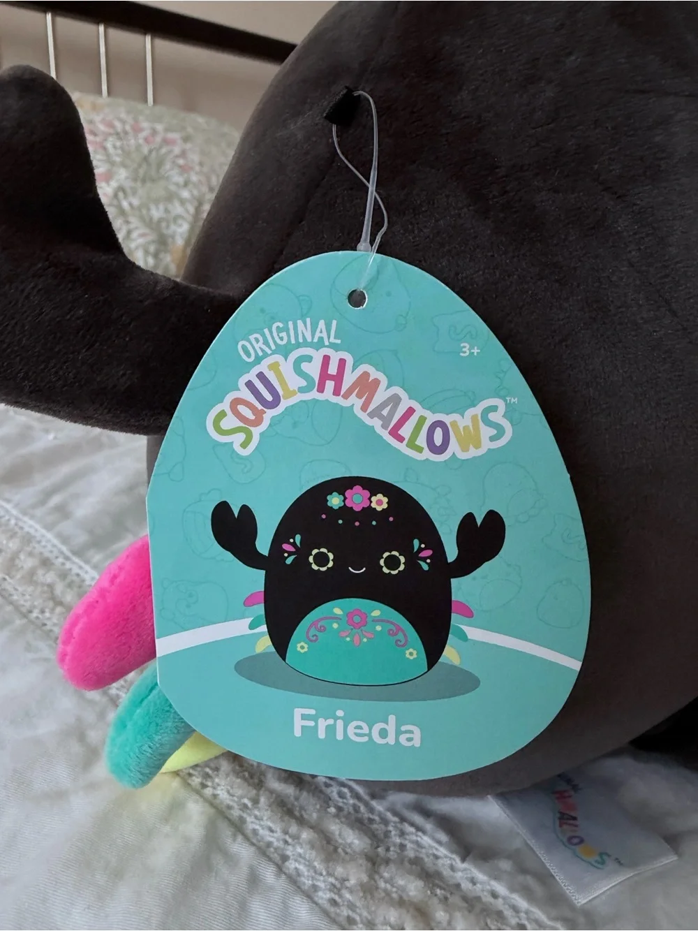 Squishmallows Black Plush Spider with Teal Belly and Multicolor Accents